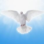 15 Minutes to Start Your Day with the Holy Spirit