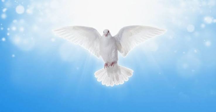 15 Minutes to Start Your Day with the Holy Spirit