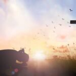 Why God is Destroying Your Life